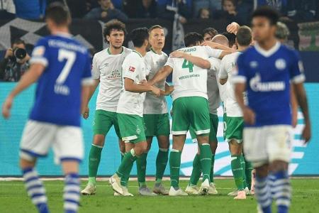 Werder träumt von Europa - und schickt Schalke in den Abstiegskampf Werder träumt von Europa - und schickt Schalke in den Abstiegskampf