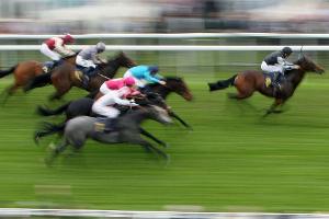 Galopp: Raven's Lady gewinnt Goldene Peitsche