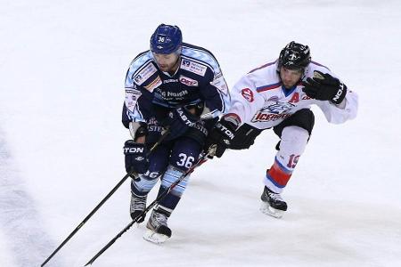 DEL: Eisbären Berlin verpflichten Stürmer Jaspers DEL: Eisbären Berlin verpflichten Stürmer Jaspers