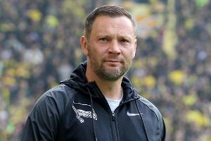 Hertha: Dardai fordert rasches Ende im Streit mit den Fans