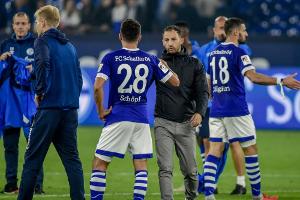 Schalke bleibt im Keller: Nicht "geil" auf Tore