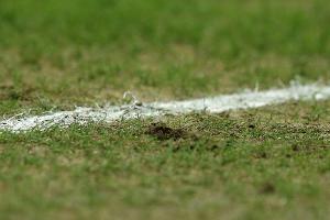 Raben sorgen für Spielabsage in der Regionalliga