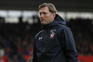 Erholter Hasenhüttl: "Wir Trainer sind ja Junkies"