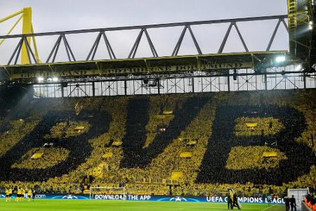 BVB gibt zwei Talenten Profiverträge