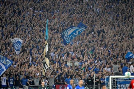 DFB-Sportgericht verhandelt Vorkommnisse rund um Revierderby DFB-Sportgericht verhandelt Vorkommnisse rund um Revierderby