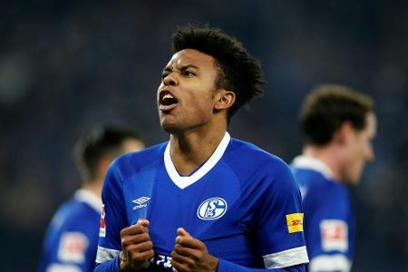 Außenbandriss: Schalke im Abstiegskampf ohne McKennie Außenbandriss: Schalke im Abstiegskampf ohne McKennie