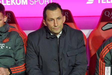 Salihamidzic kritisiert Hamann: Salihamidzic kritisiert Hamann: