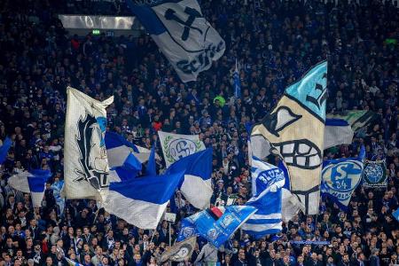 Schalke-Fan nach Schlägerei in U-Haft Schalke-Fan nach Schlägerei in U-Haft