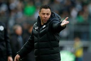 Hertha-Trainer Dardai fordert noch mehr Mut gegen Bayern
