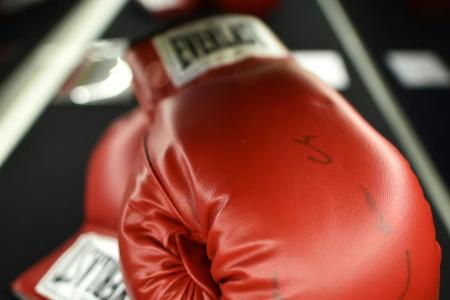 Unbesiegter Prograis neuer Box-Weltmeister der WBA Unbesiegter Prograis neuer Box-Weltmeister der WBA