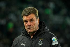 Hecking beendet Hannover-Spekulationen: "Ich bleibe Trainer"