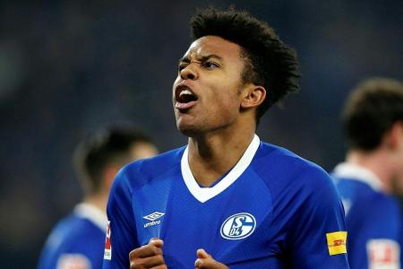 Schalke hofft auf McKennie und Sane in Nürnberg Schalke hofft auf McKennie und Sane in Nürnberg