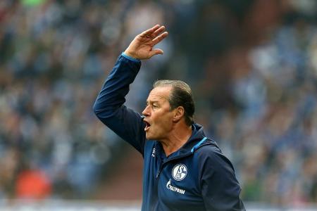 Trainer-Ausraster am Wochenende: Trainer-Ausraster am Wochenende: