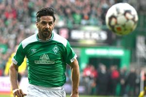 Oldie der Saison: Claudio Pizarro (Werder Bremen)