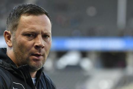 Dardai hofft auf Dardai hofft auf