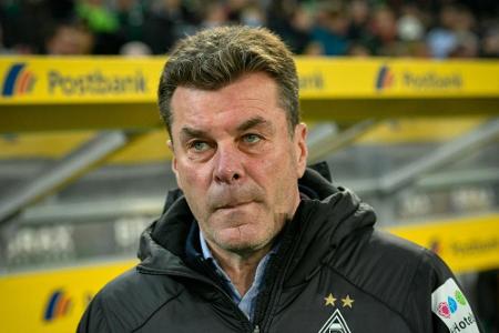 Hecking-Forderung an Trainer: Hecking-Forderung an Trainer: