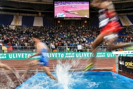 IAAF erteilt weiteren 14 Russen Starterlaubnis IAAF erteilt weiteren 14 Russen Starterlaubnis