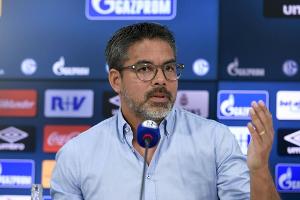 Neu-Trainer Wagner fordert Zusammenhalt: "Alles rausholen für Schalke"