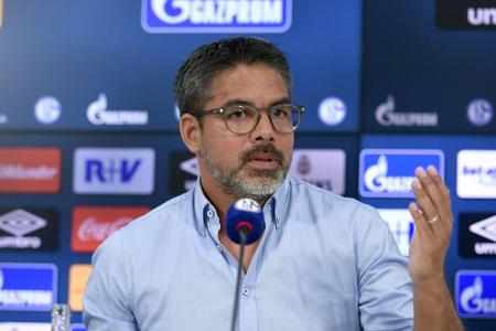 Neu-Trainer Wagner fordert Zusammenhalt: Neu-Trainer Wagner fordert Zusammenhalt: