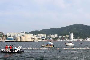 Schwimm-WM: Deutsche Staffel gewinnt Freiwasser-Gold