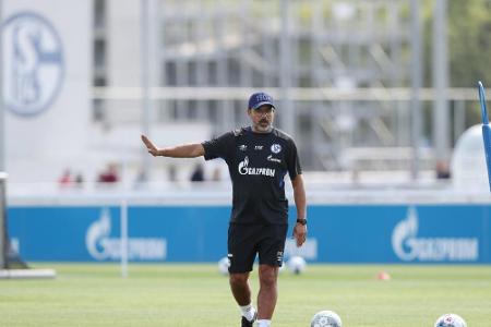 Schalke-Test gegen Farke-Klub Norwich Schalke-Test gegen Farke-Klub Norwich