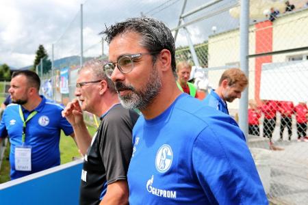Schalke im Pokal ohne Quartett - Raman fraglich Schalke im Pokal ohne Quartett - Raman fraglich