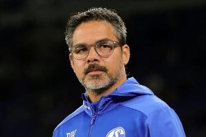 Schalke-Trainer Wagner: "Kleines Licht" auf den Malediven bestens bekannt