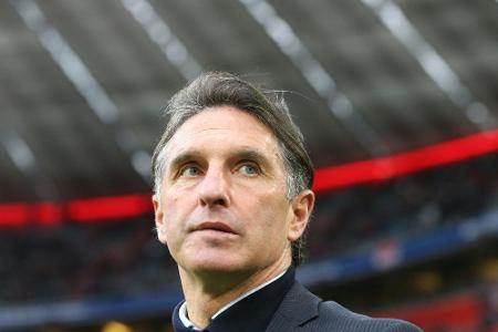 Labbadia über Ex-Klubs: Stuttgart und HSV steigen auf Labbadia über Ex-Klubs: Stuttgart und HSV steigen auf