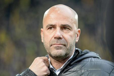 Nach Länderspiel-Pause: Bosz findet Freitagsspiel Nach Länderspiel-Pause: Bosz findet Freitagsspiel