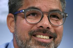 Schalke im Aufwind: "Wir sind auf dem Weg"
