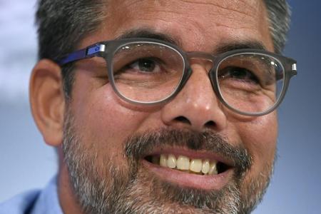 Schalke im Aufwind: Schalke im Aufwind: