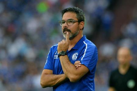 Schalke-Trainer Wagner: Schalke-Trainer Wagner: