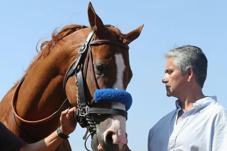 Reiten: Trainer weist Doping-Vorwürfe gegen Justify zurück Reiten: Trainer weist Doping-Vorwürfe gegen Justify zurück
