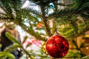 DFL Stiftung engagiert sich mit Weihnachtsaktionen