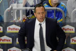 Job in der NHL? Eishockey-Bundestrainer Sturm: "Warum nicht?"