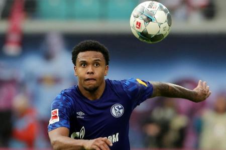 Schalke: McKennie muss nicht operiert werden - Stambouli kehrt nicht vor Winterpause zurück Schalke: McKennie muss nicht operiert werden - Stambouli kehrt nicht vor Winterpause zurück