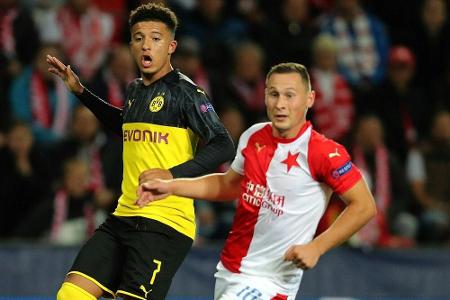 Dynamo Dresden verpflichtet Husbauer aus Prag Dynamo Dresden verpflichtet Husbauer aus Prag