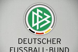 DFB-Akademieleiter Haupt kritisiert Trainerausbildung