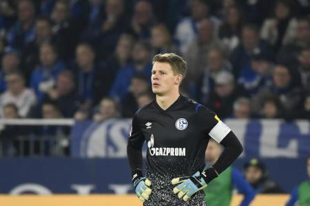 S04-Vorstand Schneider fordert fairen Umgang mit Nübel S04-Vorstand Schneider fordert fairen Umgang mit Nübel