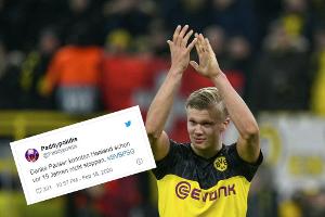 Die besten Netz-Reaktionen zur Haaland-Show gegen PSG