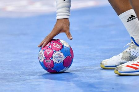 Handball-Bosse rechnen mit Saisonabbruch Handball-Bosse rechnen mit Saisonabbruch