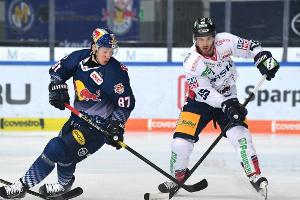 Coronavirus: DEL sagt Play-offs ab - kein deutscher Meister