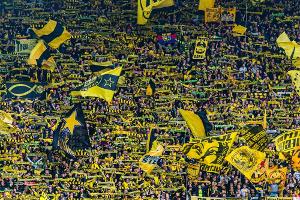 BVB bittet Fans: Meidet das Stadion!