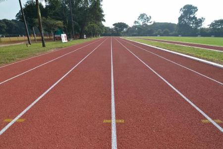 DOSB verleiht 758.168 Sportabzeichen DOSB verleiht 758.168 Sportabzeichen