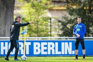 Darida lobt Labbadia: "Jeder versteht, was er will"