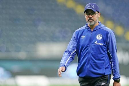 Schalke-Trainer Wagner kündigt umfassende Analyse an Schalke-Trainer Wagner kündigt umfassende Analyse an