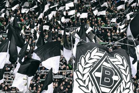 Gladbach will Spielshow-Kandidat belohnen Gladbach will Spielshow-Kandidat belohnen