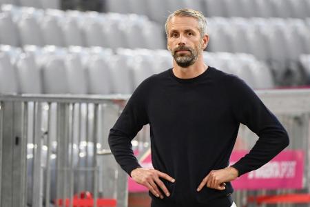 Marco Rose erotischster Bundesliga-Trainer Marco Rose erotischster Bundesliga-Trainer