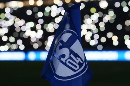 Medien: Schalke hat 5,5 Millionen Euro eingespart Medien: Schalke hat 5,5 Millionen Euro eingespart