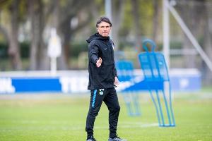 Hertha-Trainer Labbadia trübt Aussicht auf Boateng-Comeback